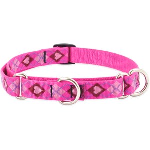 LupinePet Martingale Dog Collar, Puppy Love, Medium: 14 to 20-in