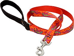 LupinePet Padded Handle Dog Leash, Go Go Gecko, Regular: 6-ft long, 3/4-in wide