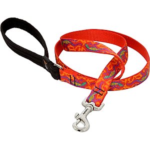 LupinePet Padded Handle Dog Leash, Go Go Gecko, Regular: 6-ft long, 3/4-in wide