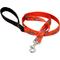 Show in main carousel: LupinePet Padded Handle Dog Leash, Go Go Gecko, Regular: 6-ft long, 3/4-in wide slide 1 of 6