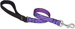 LupinePet Padded Handle Dog Leash, Jelly Roll, Short: 2-ft long, 3/4-in wide