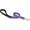 Show in main carousel: LupinePet Padded Handle Dog Leash, Jelly Roll, Short: 2-ft long, 3/4-in wide slide 1 of 6