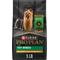 Show in main carousel: Purina Pro Plan Adult Toy Breed Chicken & Rice Formula Dry Dog Food, 5-lb bag slide 1 of 12