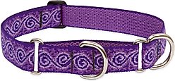 LupinePet Martingale Dog Collar, Jelly Roll, Large: 15 to 22-in