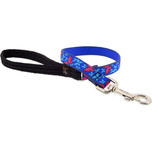 LupinePet Padded Handle Dog Leash, Social Butterfly, Short: 2-ft long, 3/4-in wide