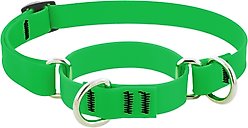 LupinePet Waterproof BioThane Martingale Dog Collar, Neon Green, Medium: 14 to 20-in