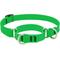Show in main carousel: LupinePet Waterproof BioThane Martingale Dog Collar, Neon Green, Medium: 14 to 20-in slide 1 of 7
