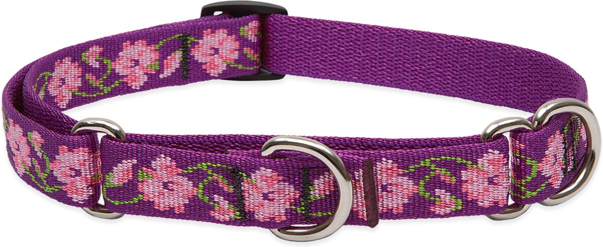 LupinePet Martingale Dog Collar