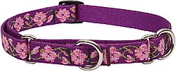 LupinePet Martingale Dog Collar, Rose Garden, Small: 10 to 14-in slide 1 of 6