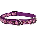 Country Brook Petz HossFit Jr Watercolor Peonies Wide Martingale Dog Collar