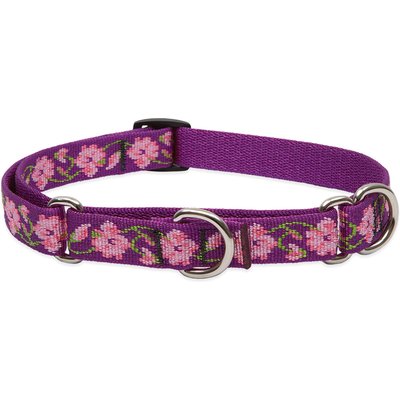 LupinePet LupinePet Martingale Dog Collar, Rose Garden, Small: 10 to 14-in