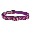 LupinePet Martingale Dog Collar, Rose Garden, Medium: 14 to 20-in
