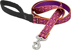 LupinePet Padded Handle Dog Leash, Alpen Glow, Regular: 6-ft long, 1-in wide