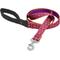 Show in main carousel: LupinePet Padded Handle Dog Leash, Alpen Glow, Regular: 6-ft long, 1-in wide slide 1 of 6