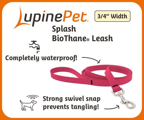 Show full view: LupinePet Waterproof BioThane Dog Leash, True Blue, Regular: 6-ft long, 3/4-in wide slide 3 of 5