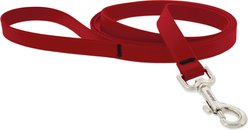 LupinePet Waterproof BioThane Dog Leash, Brick Red, Regular: 6-ft long, 3/4-in wide
