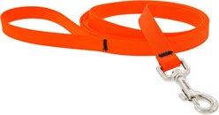 LupinePet Waterproof BioThane Dog Leash, Neon Orange, Regular: 6-ft long, 3/4-in wide