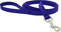 LupinePet Waterproof BioThane Dog Leash, True Blue, Regular: 6-ft long, 3/4-in wide