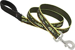 LupinePet Padded Handle Dog Leash, Brook Trout, Regular: 6-ft long, 1-in wide