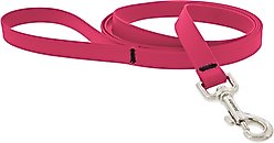 LupinePet Waterproof BioThane Dog Leash, Neon Pink, Regular: 6-ft long, 3/4-in wide