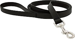 LupinePet Waterproof BioThane Dog Leash, Jet Black, Regular: 6-ft long, 3/4-in wide