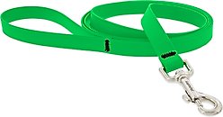 LupinePet Waterproof BioThane Dog Leash, Neon Green, Regular: 6-ft long, 3/4-in wide