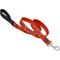 Show in main carousel: LupinePet Padded Handle Dog Leash, Go Go Gecko, Regular: 6-ft long, 1-in wide slide 1 of 6