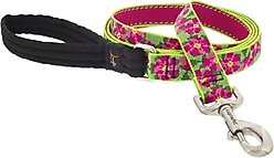 LupinePet Padded Handle Dog Leash, Petunias, Regular: 6-ft long, 1-in wide slide 1 of 6