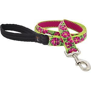 LupinePet Padded Handle Dog Leash, Petunias, Regular: 6-ft long, 1-in wide
