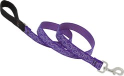 LupinePet Padded Handle Dog Leash, Jelly Roll, Regular: 6-ft long, 1-in wide
