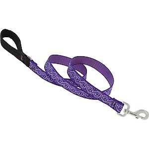 LupinePet Padded Handle Dog Leash, Jelly Roll, Regular: 6-ft long, 1-in wide