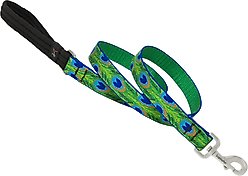 LupinePet Padded Handle Dog Leash, Tail Feathers, Regular: 4-ft long, 1-in wide