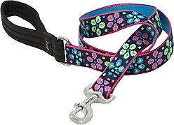LupinePet Padded Handle Dog Leash, Flower Power, Regular: 6-ft long, 1-in wide