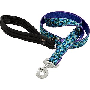 LupinePet Padded Handle Dog Leash, Rain Song, Regular: 6-ft long, 1-in wide