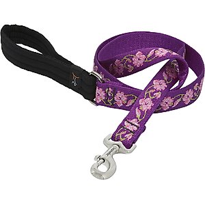 LupinePet Padded Handle Dog Leash, Rose Garden, Regular: 6-ft long, 1-in wide