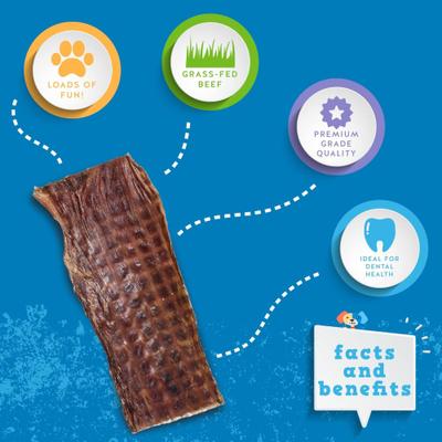 Show full view: Jack & Pup 6-inch Joint Health Flat Beef Gullet Dog Chews, 25 count slide 4 of 7