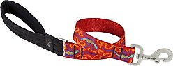 LupinePet Padded Handle Dog Leash, Go Go Gecko, Short: 2-ft long, 1-in wide
