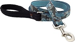 LupinePet Padded Handle Dog Leash, Sand Shark, Regular: 6-ft long, 1-in wide