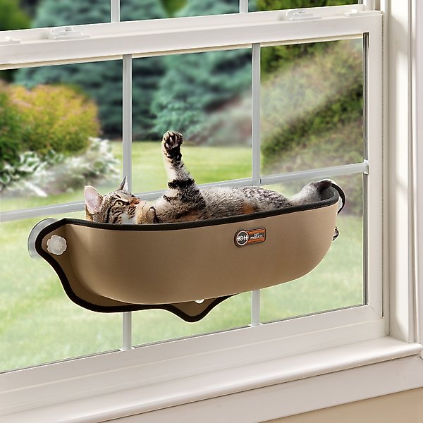 from cat st　10冊 Amazon.com : SHENGOCASE Cat Tree Tower Accessories