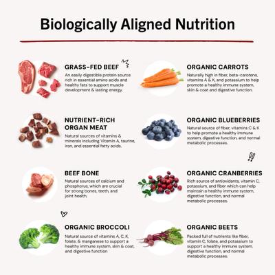 Show full view: Stella & Chewy's Stella's Super Beef Morsels Raw Frozen Dog Food, 4-lb bag slide 9 of 11