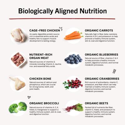 Show full view: Stella & Chewy's Chewy's Chicken Patties Frozen Raw Dog Food, 6-lb bag slide 9 of 11