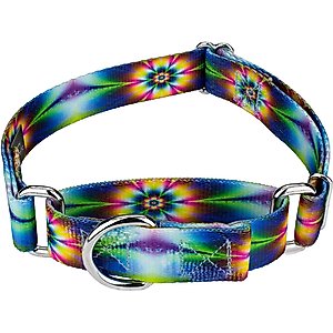 Country Brook Petz Tie Dye Flowers Martingale Dog Collar, Small: 11 to 15-in neck, 5/8-in wide