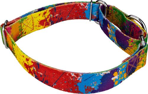 Show full view: Country Brook Petz Paint Splatter Martingale Dog Collar, Medium: 15 to 21-in neck, 1-in wide slide 6 of 7
