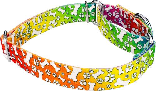Show full view: Country Brook Petz Trippy Doggo Martingale Dog Collar, Medium: 15 to 21-in neck, 1-in wide slide 6 of 7