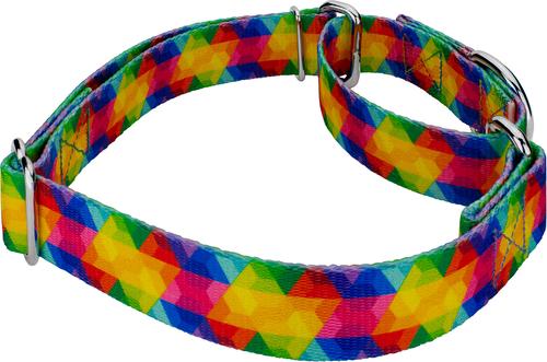 Show full view: Country Brook Petz Kaleidoscope Martingale Dog Collar, Large: 18 to 26-in neck, 1-in wide slide 4 of 5