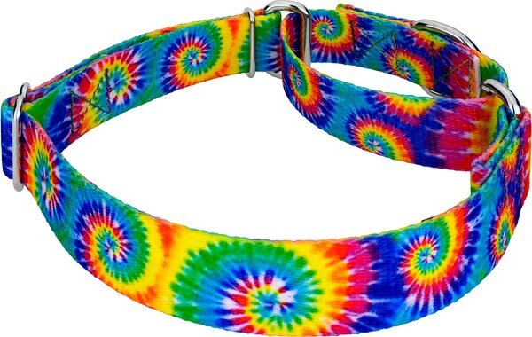 Country Brook Petz Classic Tie Dye Martingale Dog Collar