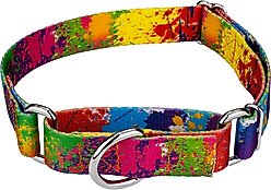 Country Brook Petz Paint Splatter Martingale Dog Collar, Medium: 15 to 21-in neck, 1-in wide
