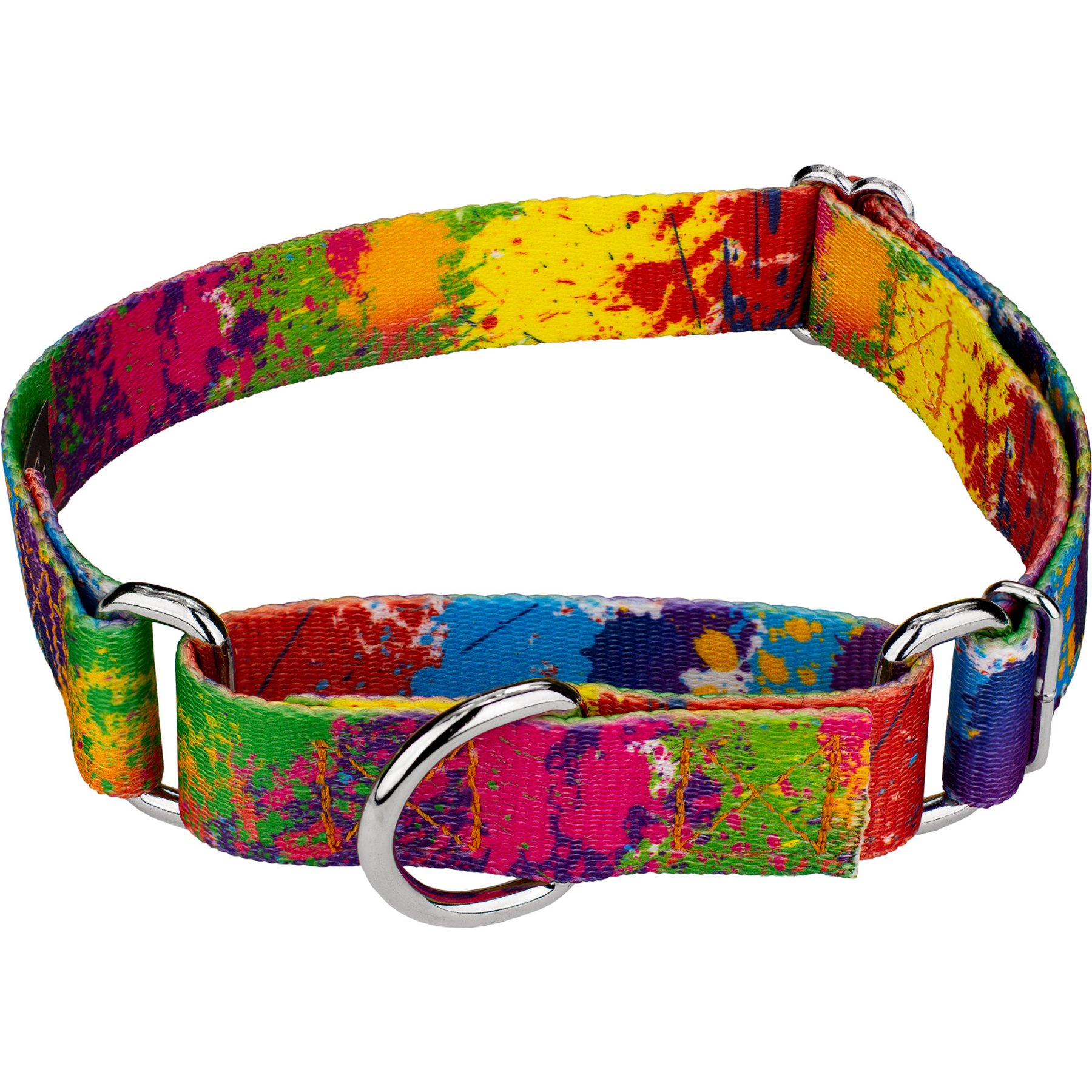 Country Brook Petz Paint Splatter Martingale Dog Collar, X-Small: 9 to 12-in neck, 1/2-in wide