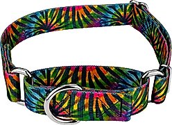 Country Brook Petz Tie Dye Stripes Martingale Dog Collar, Large: 18 to 26-in neck, 1-in wide