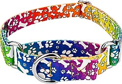 Country Brook Petz Trippy Doggo Martingale Dog Collar, Medium: 15 to 21-in neck, 1-in wide